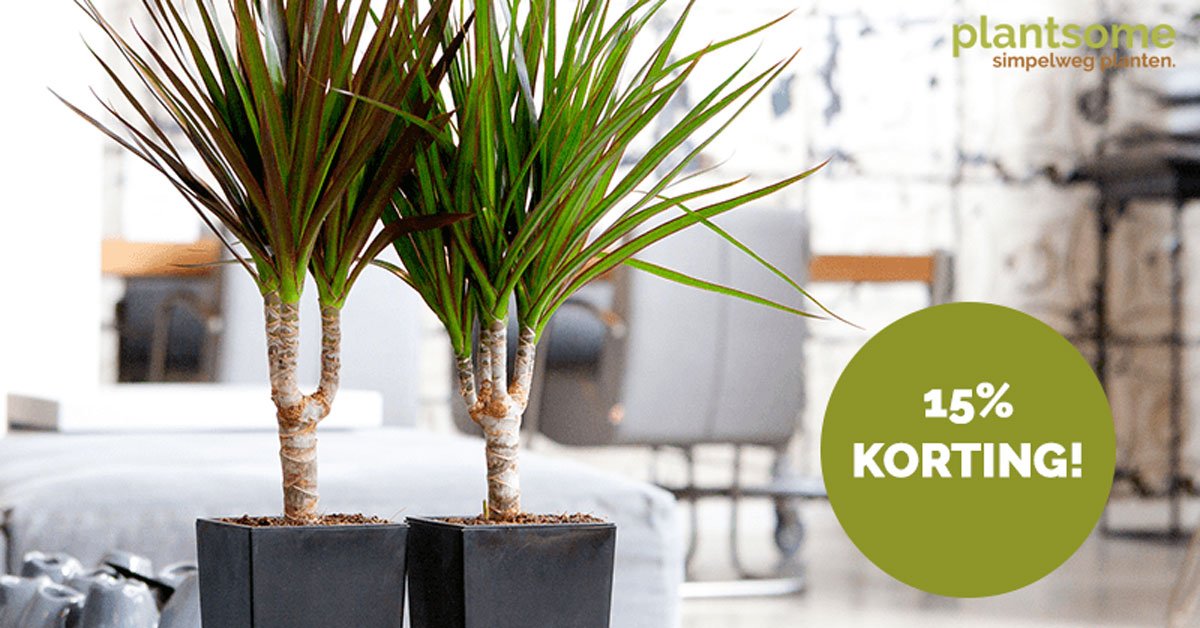 Krijg je ook zin om de lente in huis te halen? Dat kan nu tijdelijk met 15% korting! Gebruik de code LENTEKRIEBELS