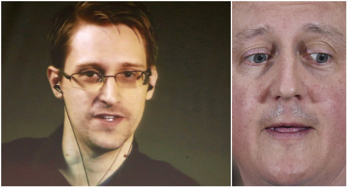 View image on Twitter