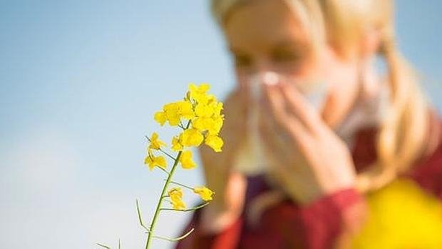 SaludFontaneda's tweet photo. Ya notas los efectos de la #Primavera? Trata tu #alergia con #Restauración #Bioenergética. Resultados demostrables https://t.co/0Oh4nnoo4K