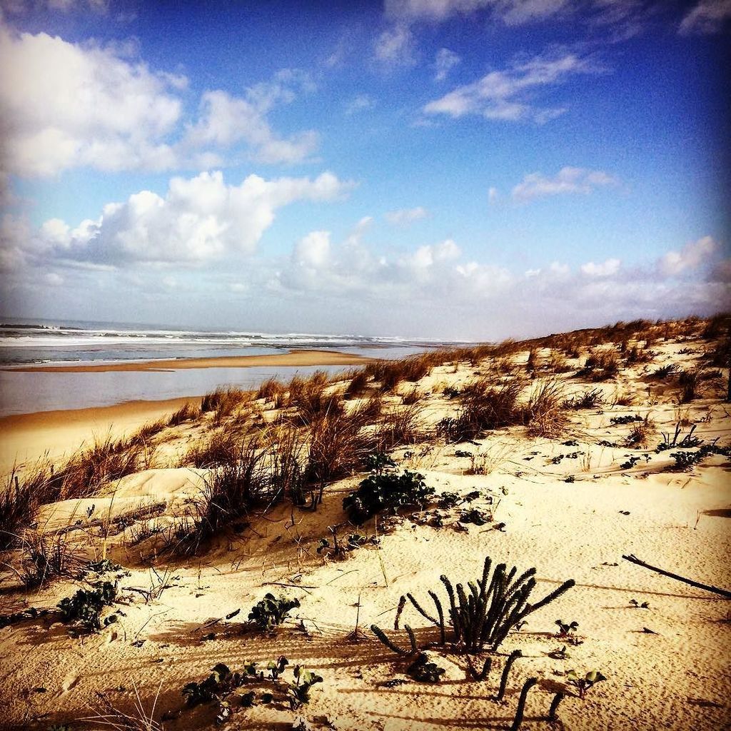 Lemangekyou's tweet photo. I like #libertes #beach #leporge #pause #detente #vanamenage  #vanlife #nature #wild #medococean #ocean 😎 by campin… https://t.co/ZN8JmsqWgP