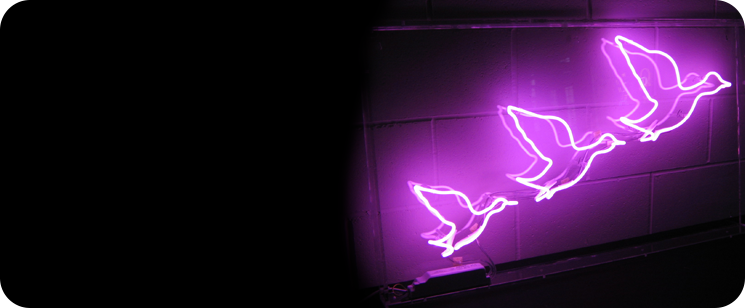 Neoncreations's tweet photo. We supply neon for branding, art, gifts, entertainment and home use, so there's something for everyone! https://t.co/dq2iefoeHd