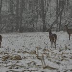 Photo by VP Outdoors (@VPOPROS)