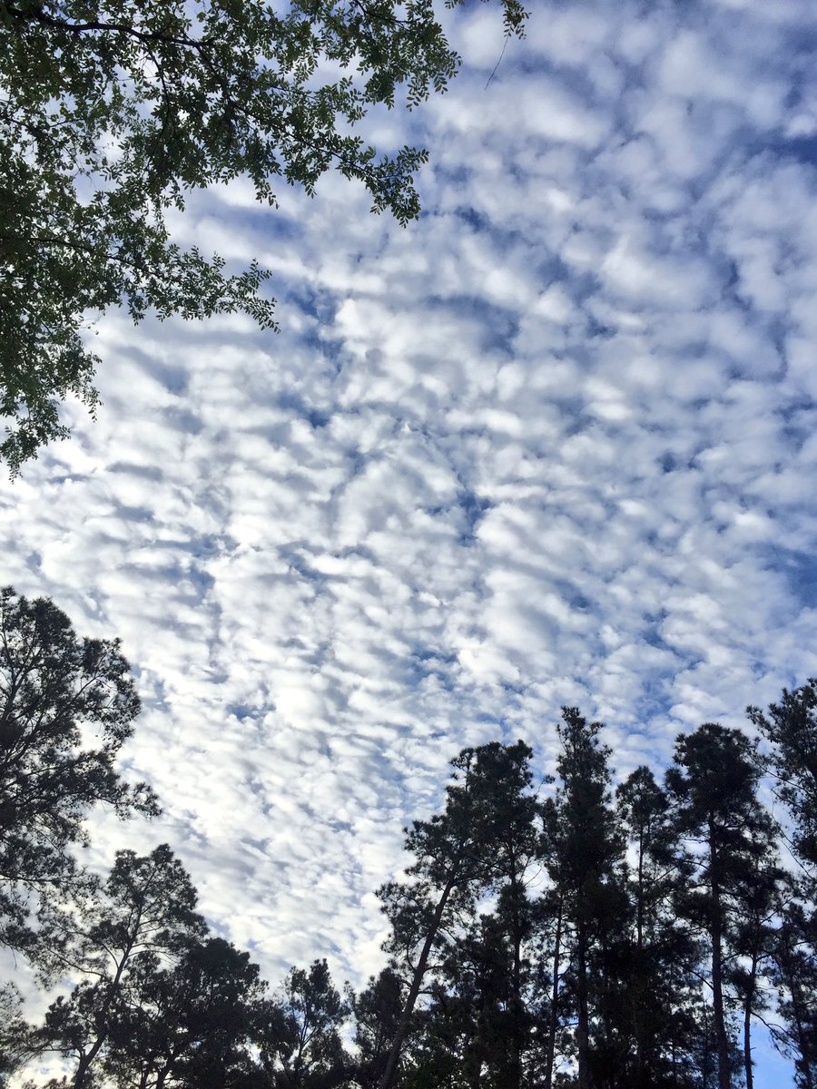 KariBellorin's tweet photo. #HappyFriday #CottonSkies https://t.co/RzIGCtaZPj