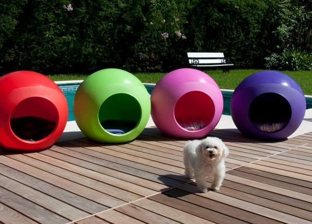 IZcrowd's tweet photo. Alegra a tu mascota con Bubble, la casita de diseño @Singularpets que vendemos en IZ https://t.co/soqSWftdUT https://t.co/pbSDrm8nrd