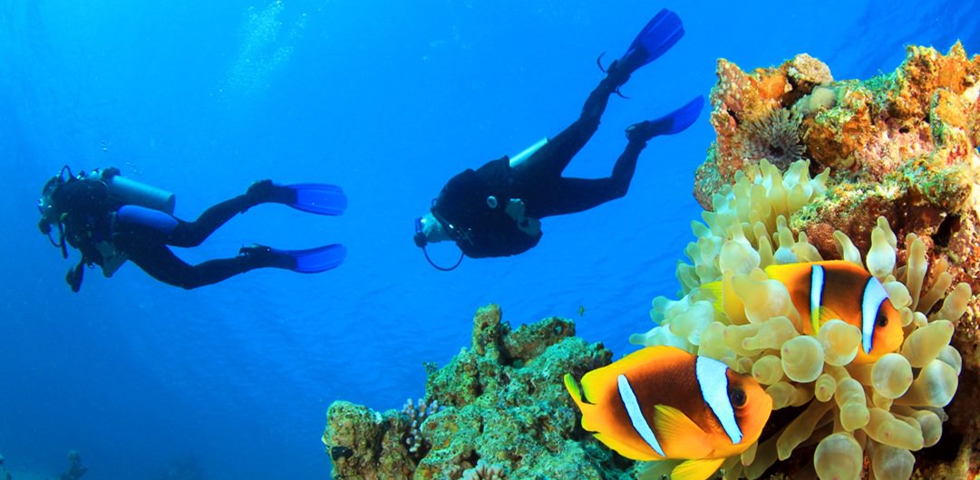 UMKC Campus Recreation on Twitter "What did you do over spring break