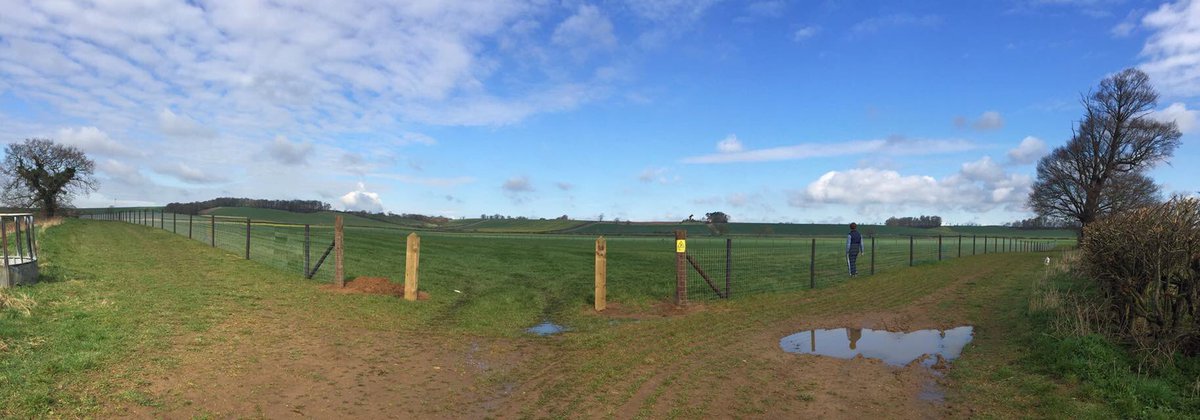 BDAequestrian1's tweet photo. Summer Paddocks nearly finished! Huge thank you to @honingtongrange &amp; Coney Farms #Home #BDAequestrian https://t.co/fIzVNuJK8Q
