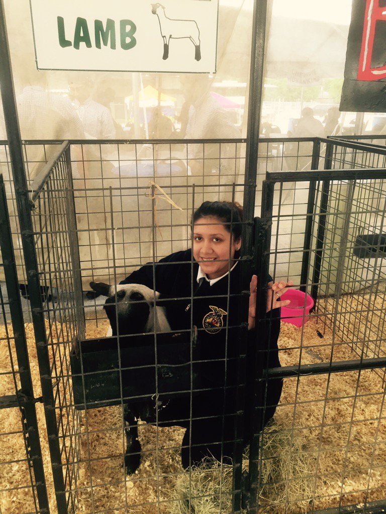 Bella my Lamb (Chop 😋)