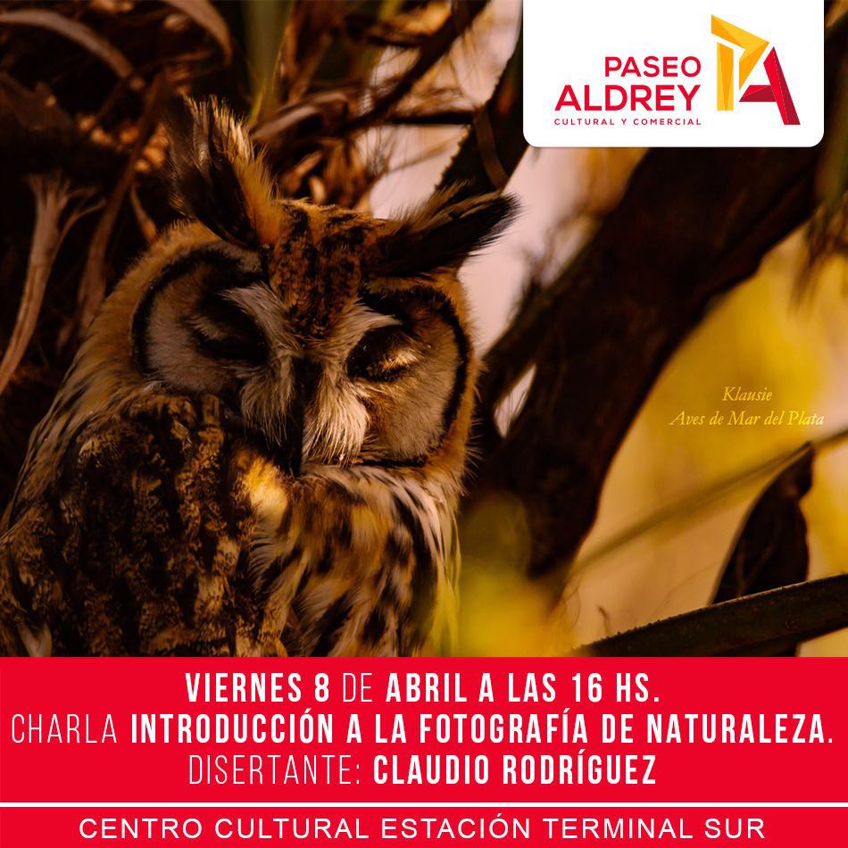 ValeriaMendezOk's tweet photo. #Hoy en el Centro Cultural Estacion Terminal Sur del @PaseoAldreyMdp No te lo pierdas! Entrada libre y gratuita https://t.co/fjBeEuuYYE