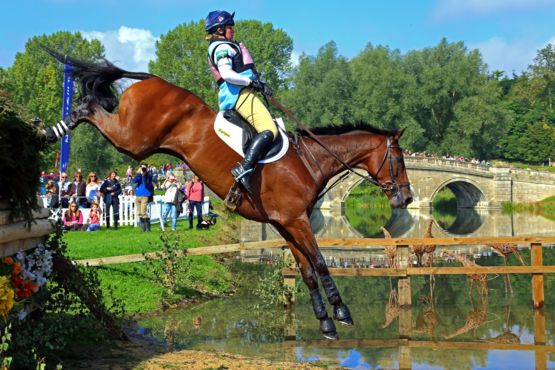 BBCSouthNews's tweet photo. Hundreds of horse photos shared in tribute to Bonnie Armitage #blueforbonnie https://t.co/BqPCnlN0y0 https://t.co/iVy6p7UKQQ