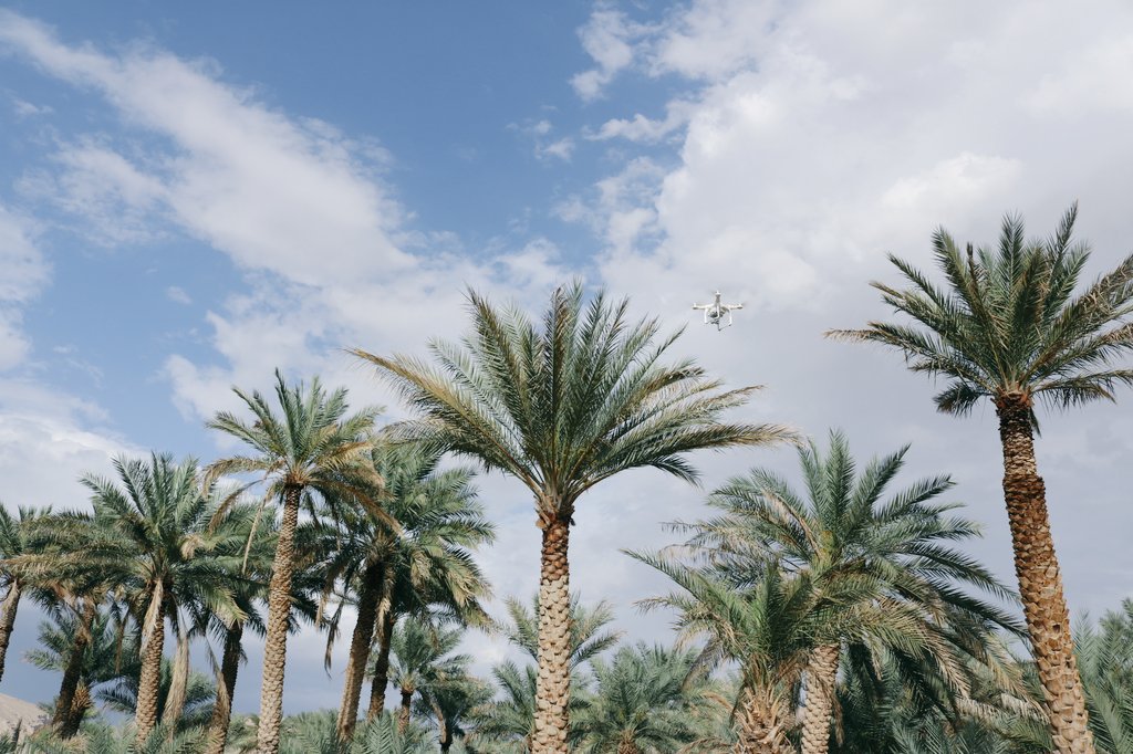 LDMT_OM's tweet photo. أنتاج وأخرج التغطية التى تتعلق بمشروع تطوير النظم المزرعية التقليدية بقرية#المعذا بولاية#ضنك لنشرة على مواقع التواصل https://t.co/xWr6NGVsHh
