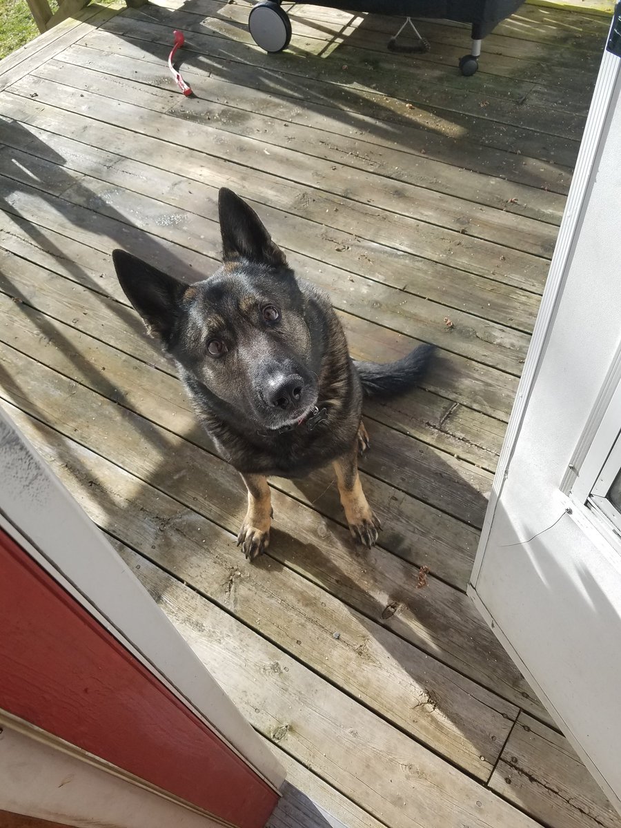 fakeDekeyser65's tweet photo. #DailyDiesel https://t.co/8hNYbXTTGj