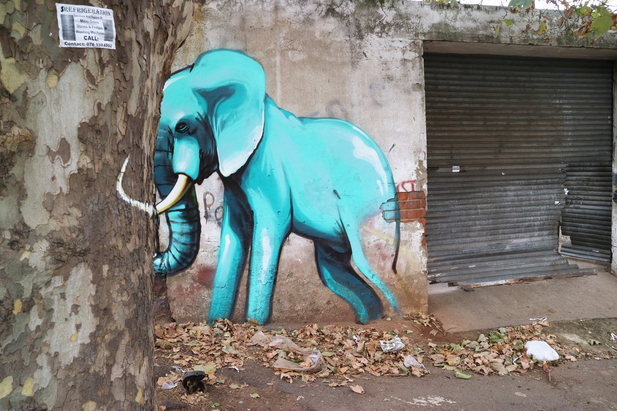 Getting ready for the #EbonyAndTheIvories solo show at Grayscale gallery . 9 April 2016. Supported by <a href="/adidasZA/">adidasZA</a>