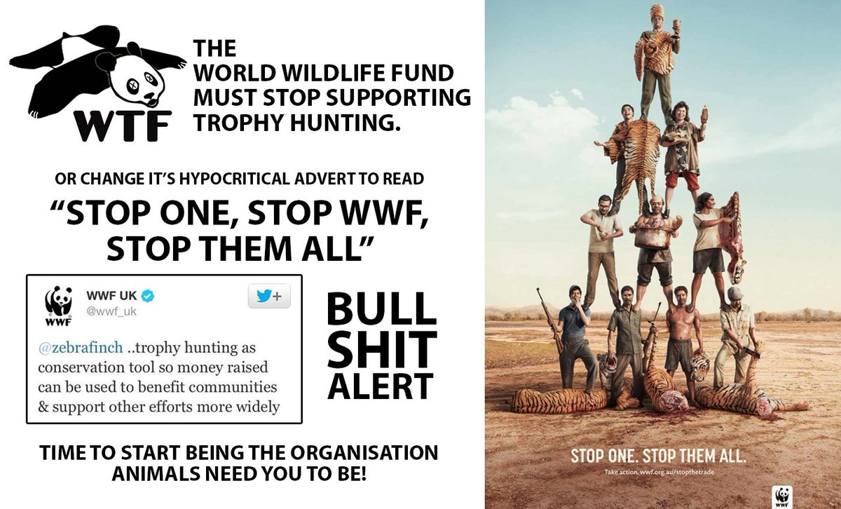 _AnimalAdvocate's tweet photo. @LeoDiCaprio
Tell @WWF to stop supporting #TrophyHunting! 

@Protect_Wldlife - Please Sign⬇︎
https://t.co/i5ggaKnRsM https://t.co/JTy35cwqyH