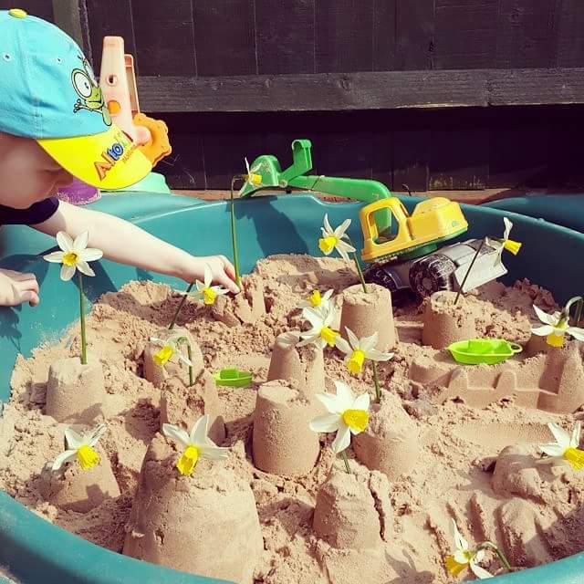 littlenic1976's tweet photo. @BestLovedHotels #springtime #bestlovedlife When little one picks your flowers out the garden ☺☺ https://t.co/g301eFxuPZ