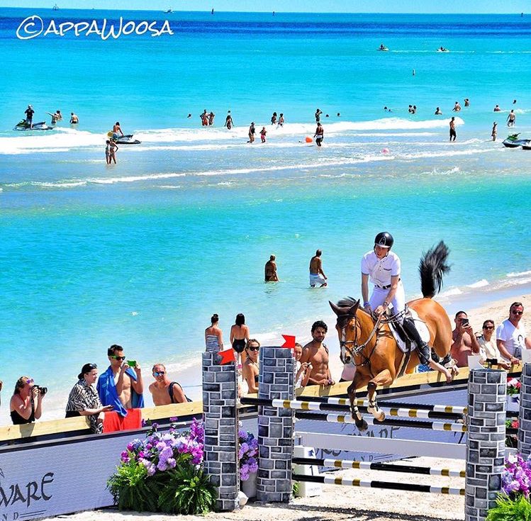 a_country_lady's tweet photo. Wow! What a venue 😎 🏖 #scottbrash #showjumping #gct #Miamibeach https://t.co/3IK1EuxZSN
