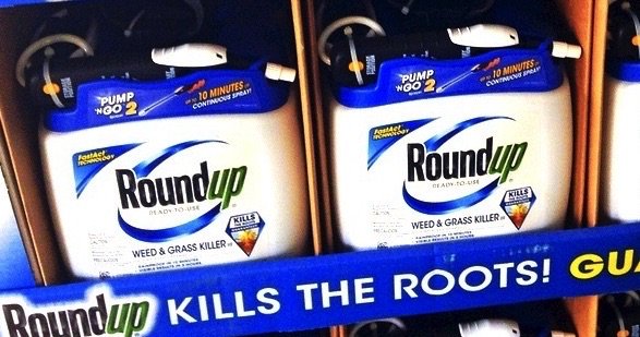 POLL: Should the EU's extension of the Glyphosate license be stopped? CfhtHEFWcAEcVCc