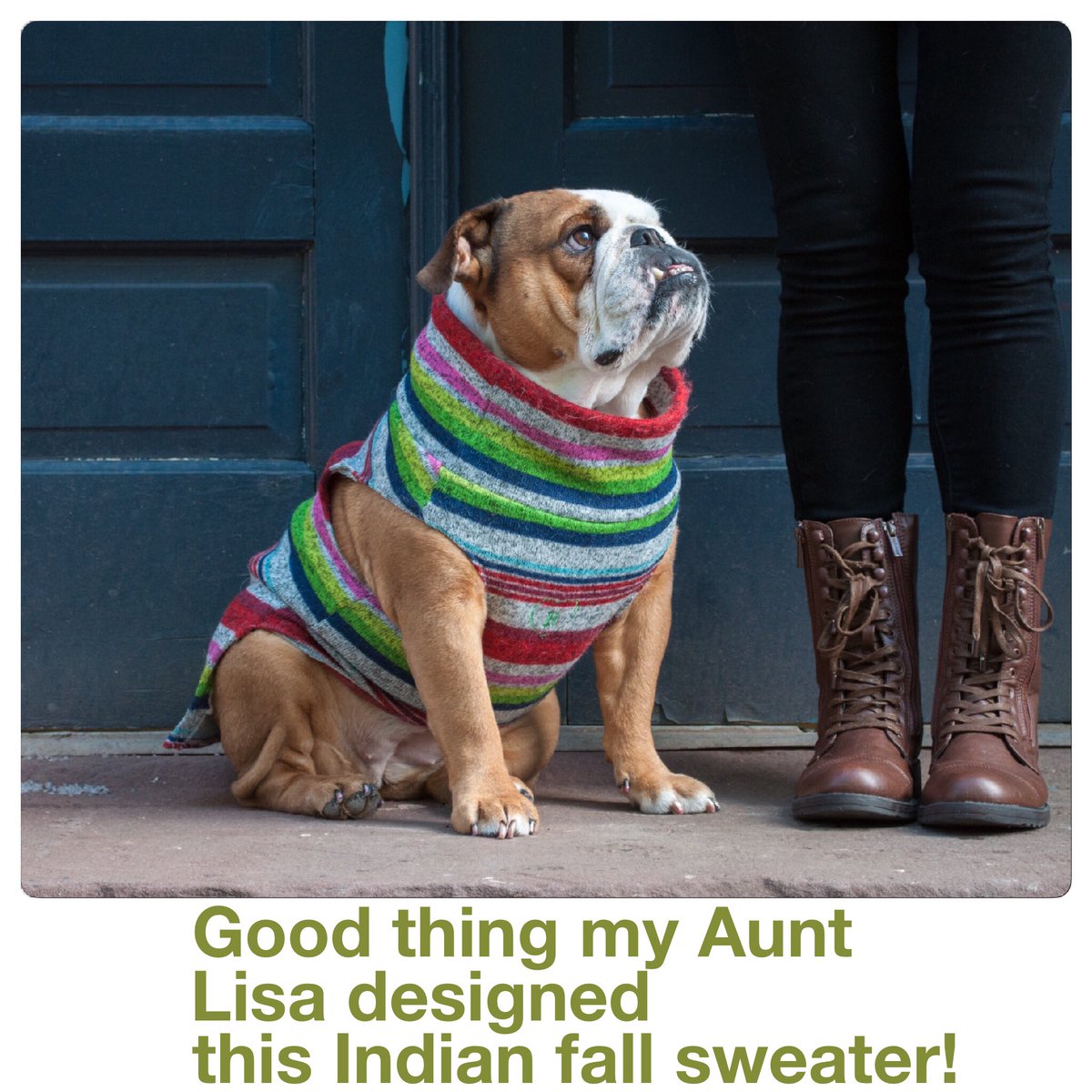 RosieClothes's tweet photo. When is spring coming? #englishbulldog #bulldog #dog #doginclothes https://t.co/Mli5KaQJot
