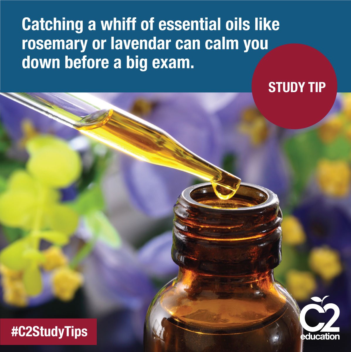 C2education's tweet image. Feel free to inhale #C2StudyTips