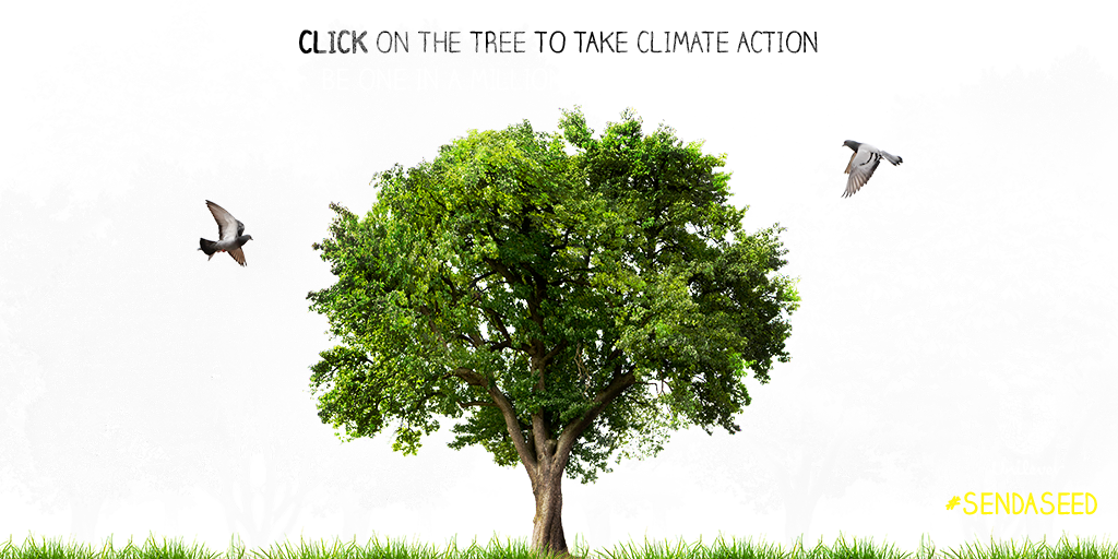UnileverSA's tweet photo. Help to plant one million trees. ‘RT’ #SendASeed and we will plant a tree on your behalf. https://t.co/82mhvq854B