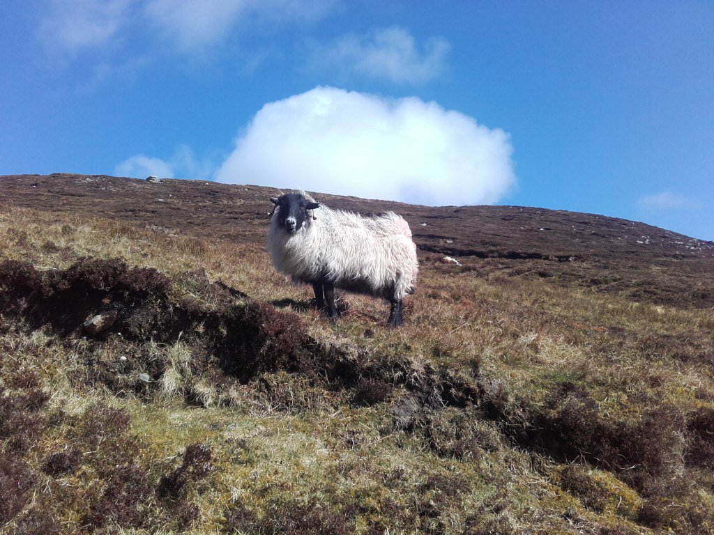 Couch to 5k wilsonblades.wordpress.com/2016/04/08/cou…