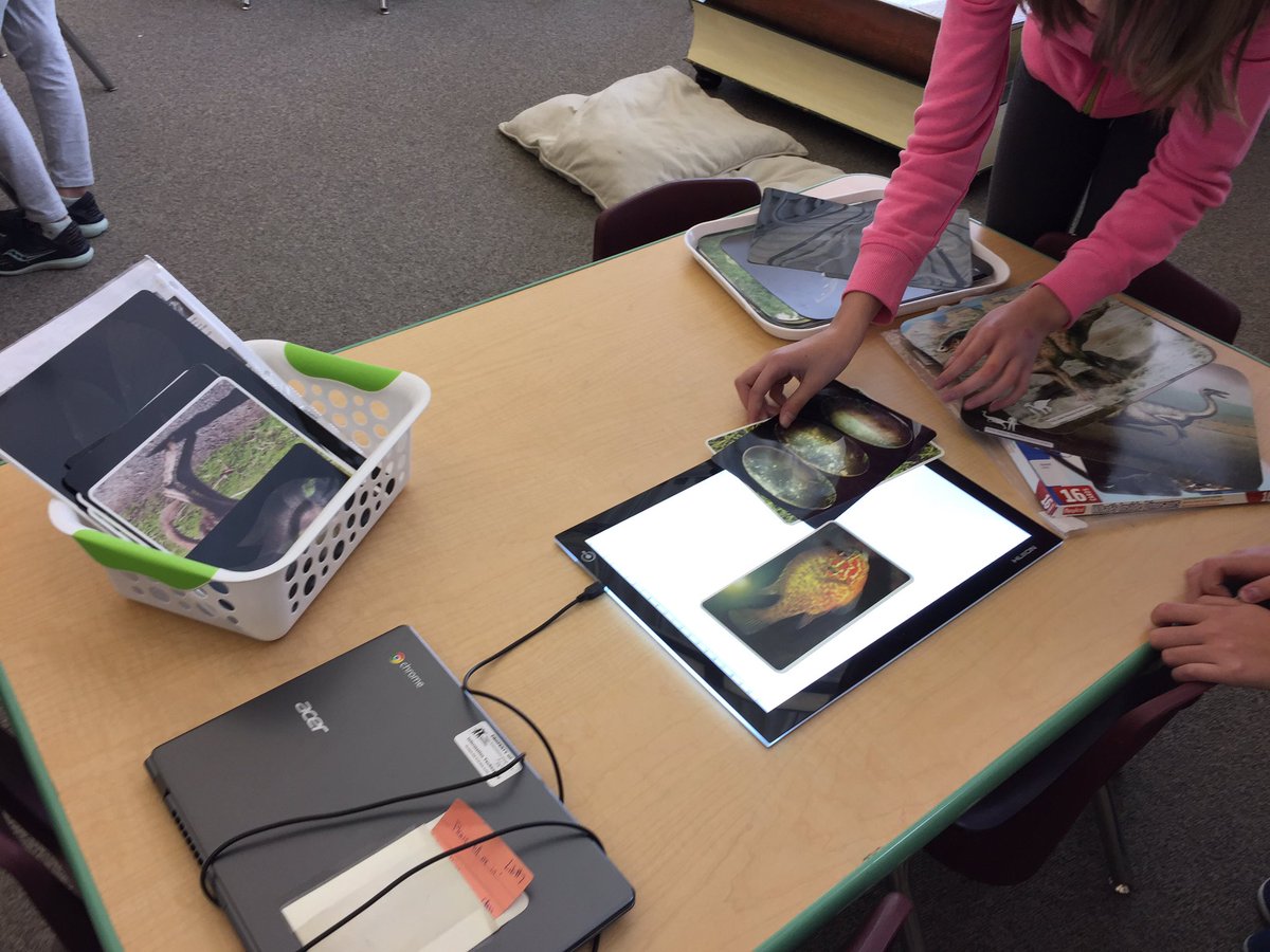 sarafurnival's tweet photo. Discover "What's Inside" (Make 016). Our students are loving this new #sparktable! @terryjamesrc #makerbins @ugdsb https://t.co/tLV2mcMCsM