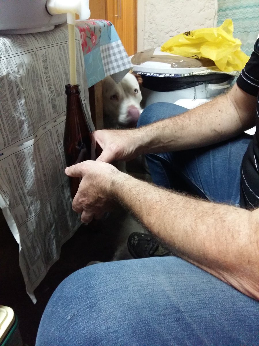 Bottling APA batch no2... so excited! #homebrew