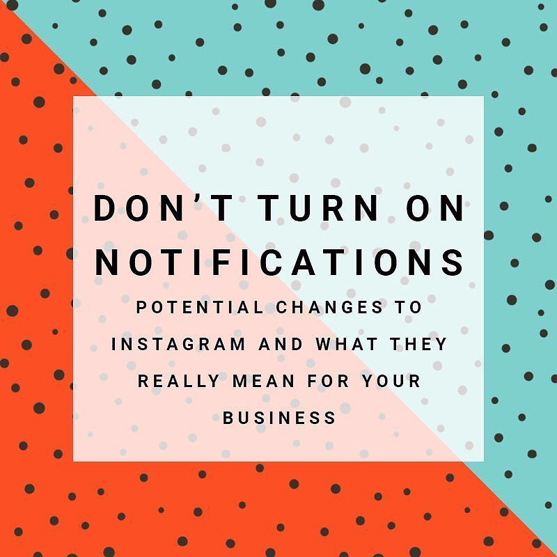 TheInnerWild's tweet photo. Still a little fuzzy on all that #Instagram panic? Review our blog post for strategy tips!… https://t.co/SuDQoQwfFQ https://t.co/Uz5ki7CtvF