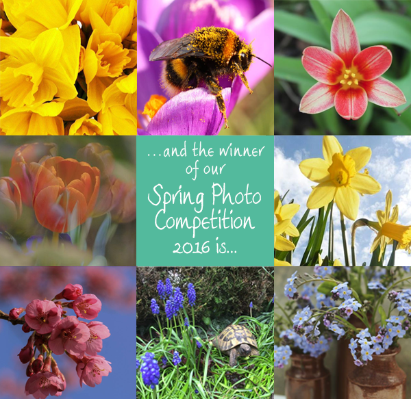 We have a winner! Click below to find out who won this years spring photo competition...
sarahraven.com/customer/pages…