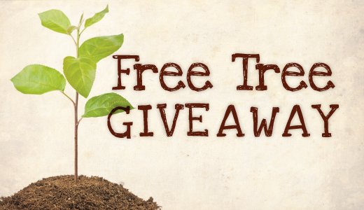 cincylibrary's tweet photo. TOMORROW: Visit any Library location, check out an item &amp; get a seedling! (April 9 only. While supplies last.) https://t.co/HoGiNekSc8