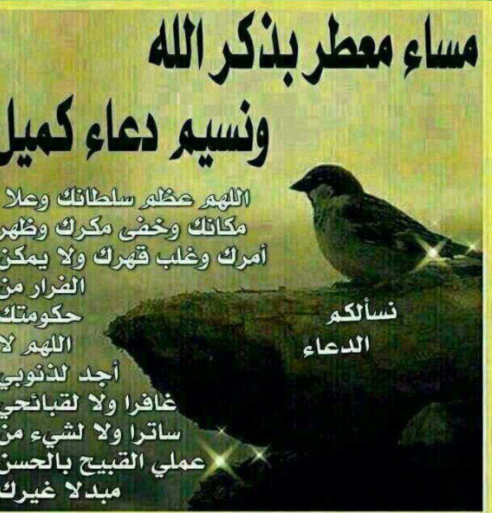 مسائكم معطر بذكر الرحمن 🌺🌺مساءالخير🌺🌺