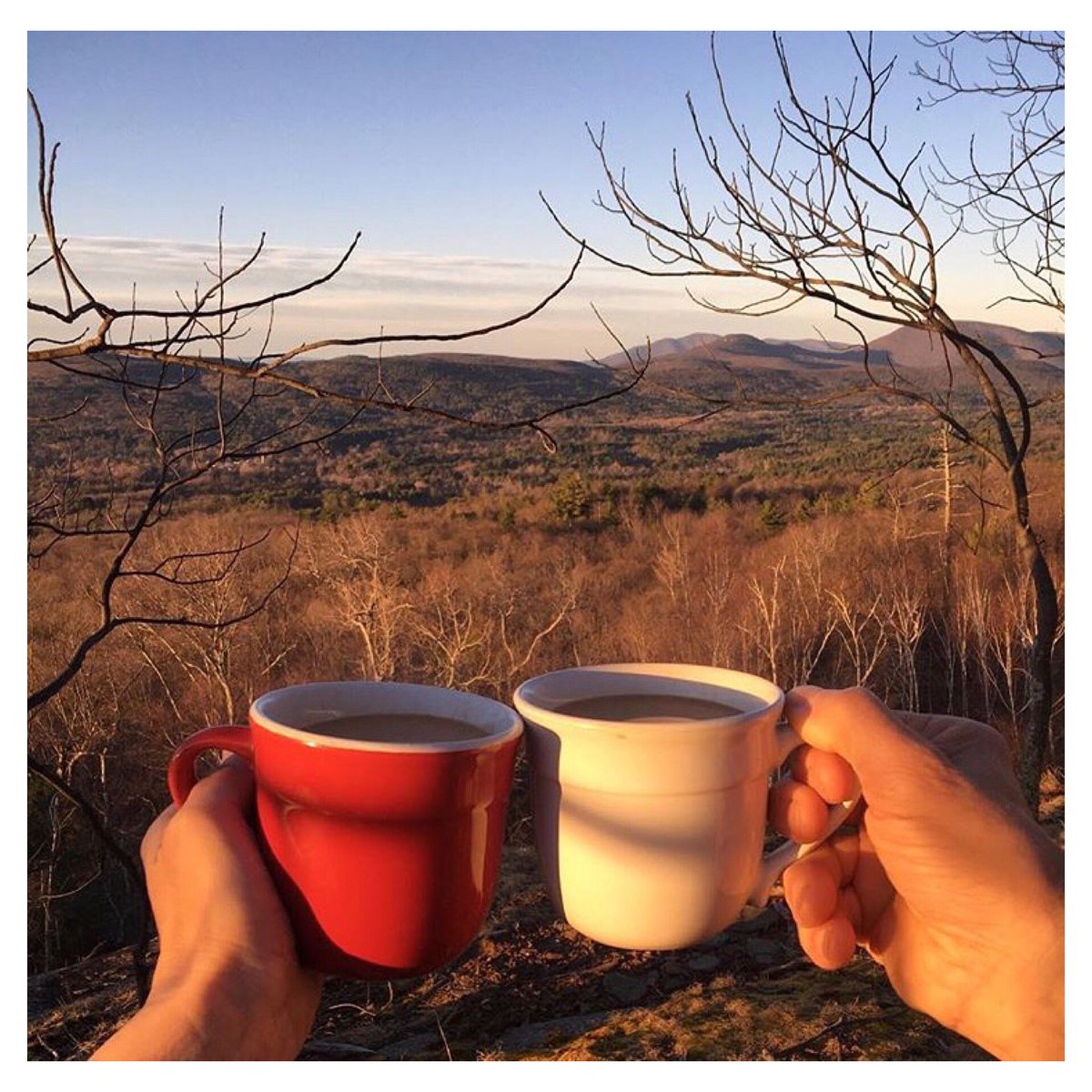 HotelDylan's tweet photo. Cheers to the #weekend! #TGIF #coffeefirst https://t.co/kGyf2VyHy2