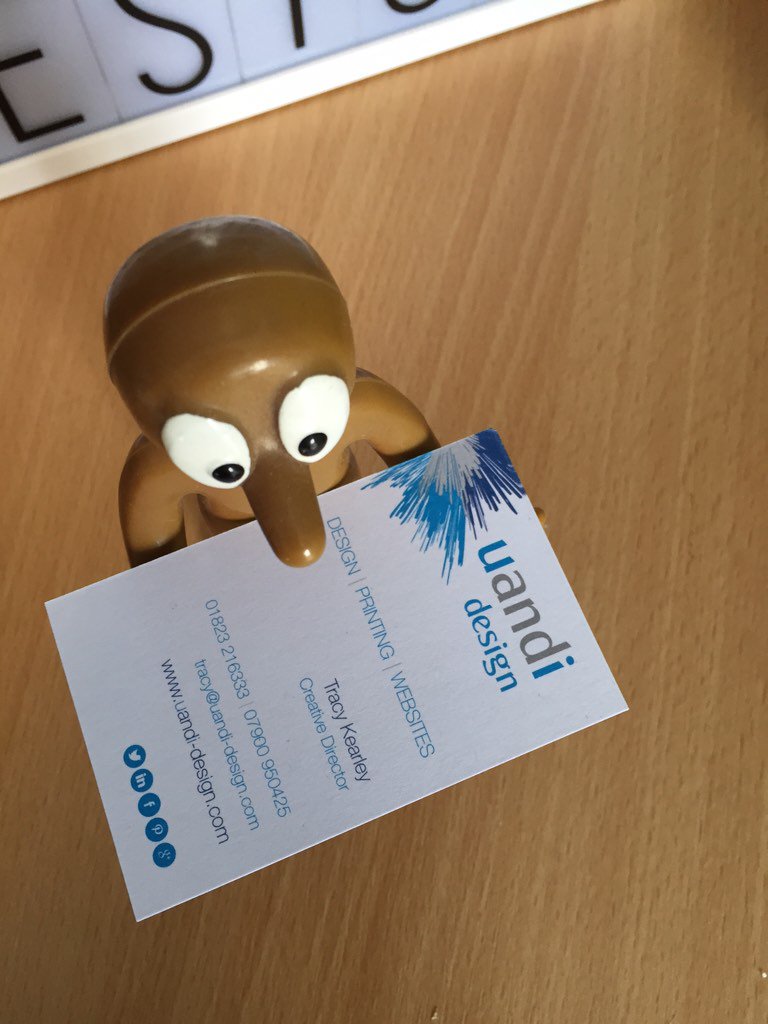 uandidesignltd's tweet photo. Had some help in the office this week! https://t.co/5PZOV0mPQo