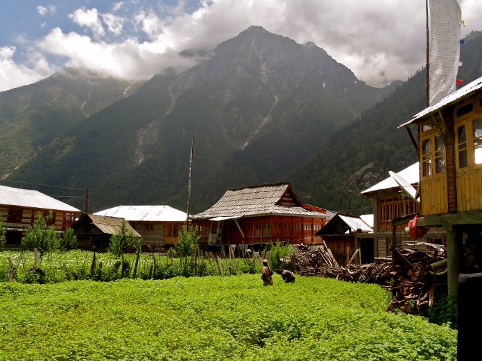 shivya's tweet photo. Of Mountain Legends, Unknown Trails and Wild Beauty - https://t.co/I9fygSr4Rt 

#indiatravel #himalayas #ttot https://t.co/4AJcsuO68J