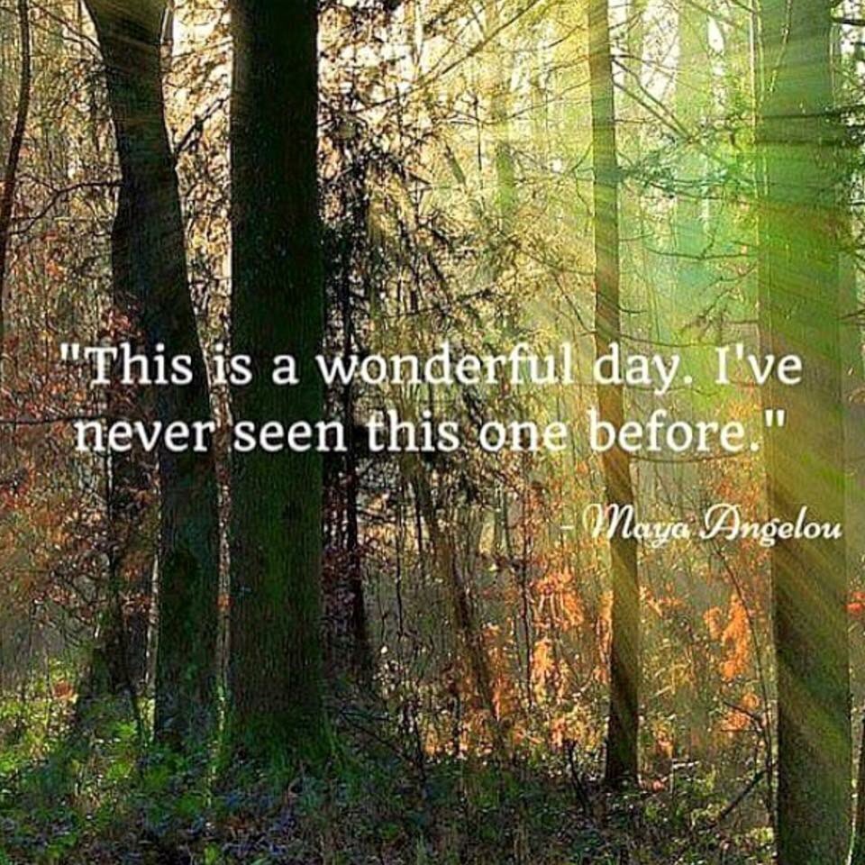 traceyfenner's tweet photo. Enjoy your day 🙏 https://t.co/Z8fKbDmMMy