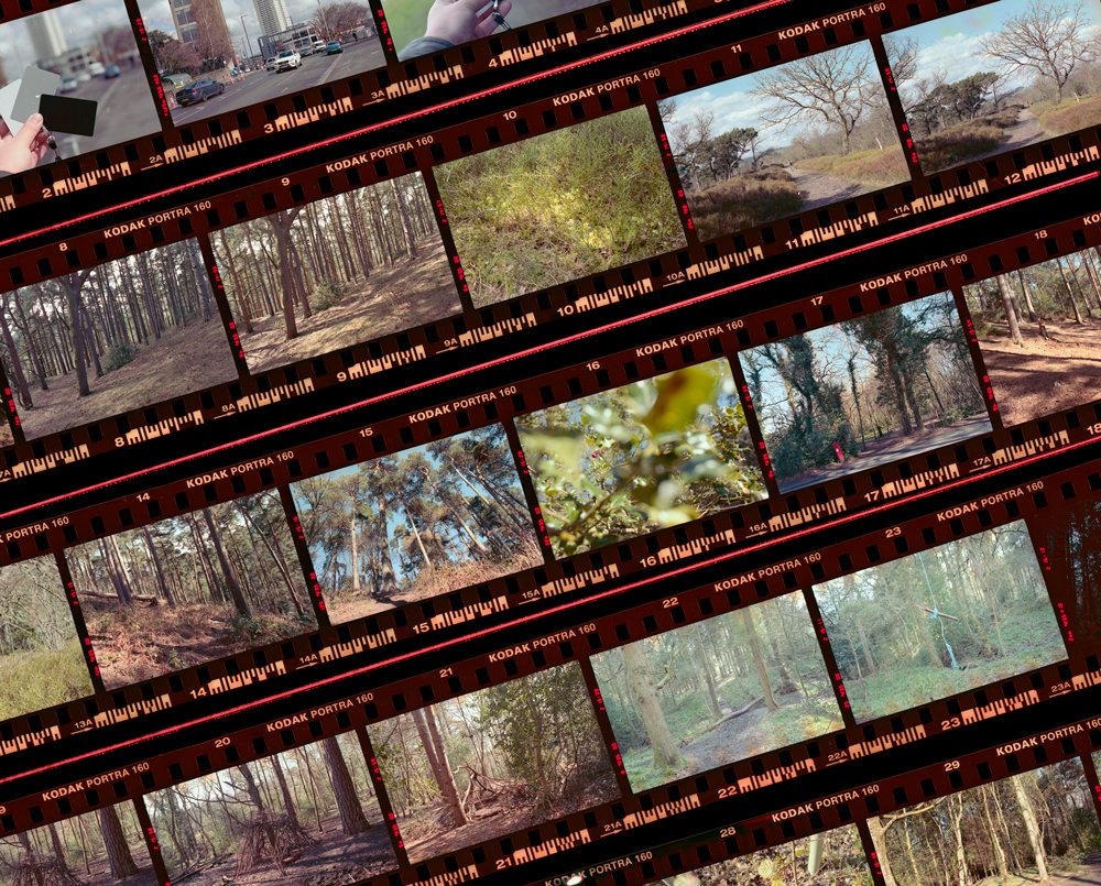 JohnnyMates's tweet photo. Finally discovered how to get good scans from #colournegative #film. https://t.co/MkLIqCCb09 #photography https://t.co/wqBjJmPNN2