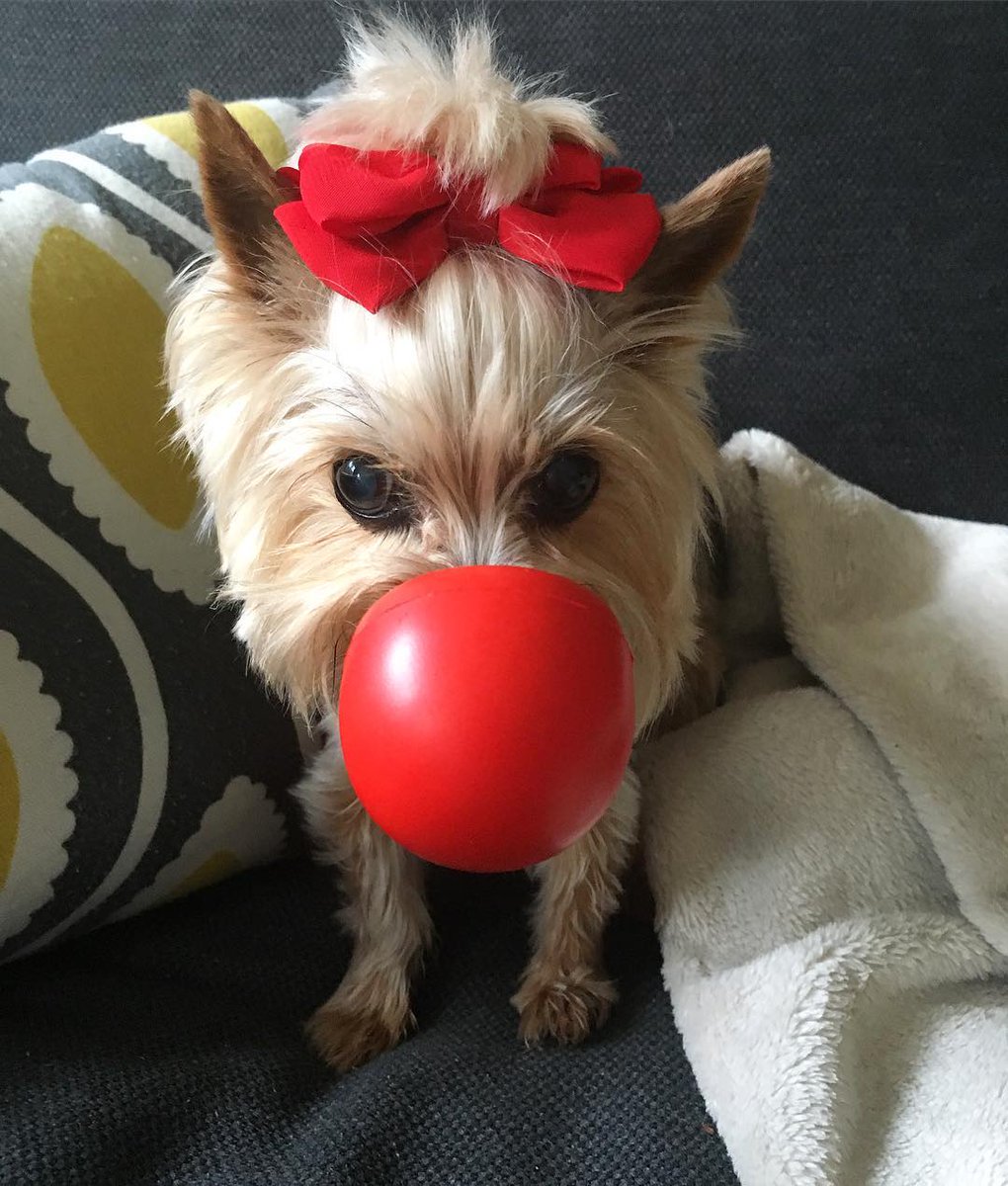 Comic Relief tweet media