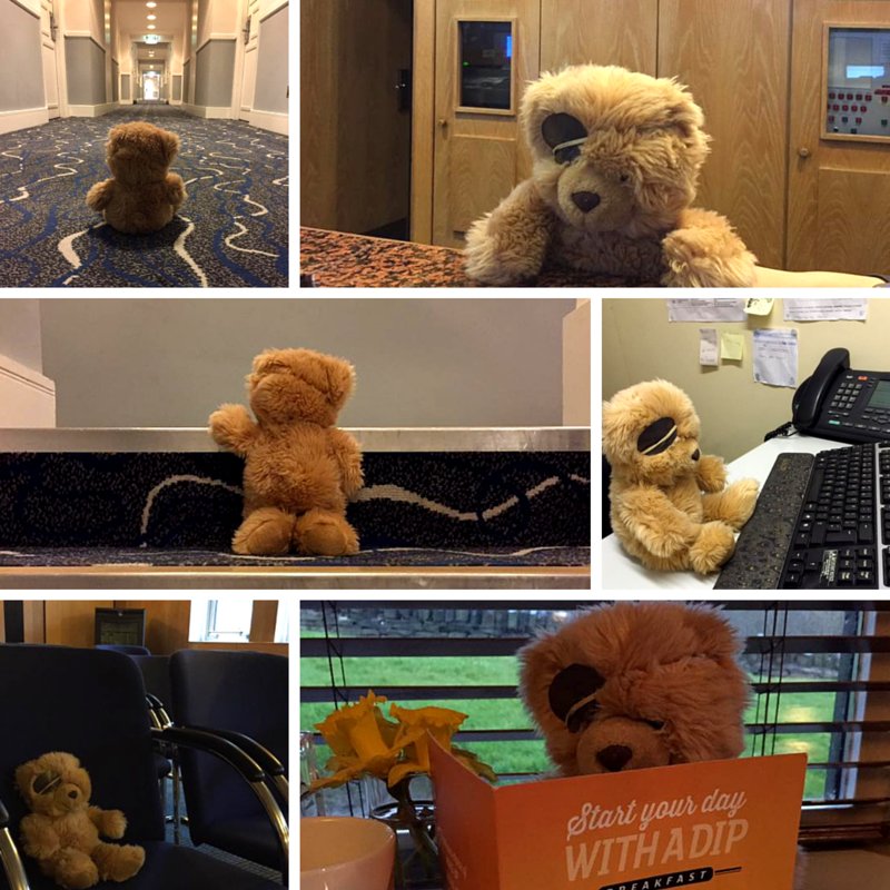 BrighouseHI's tweet photo. Teddy misses his family, he was left here last weekend!π
If you're missing Ted too - Call 01484 404500.
@holidayi⦠https://t.co/EOSVjHilGu