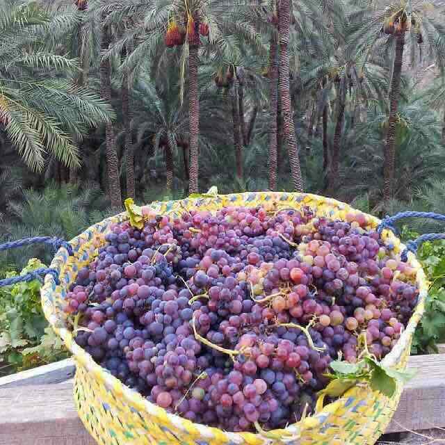 عش حياتك على مبدأ :
كـن مُحسناً حتى وإن لم تلقى إحسانا ،
ليس لأجلهم بل لأن الله يحب المُحسنين .