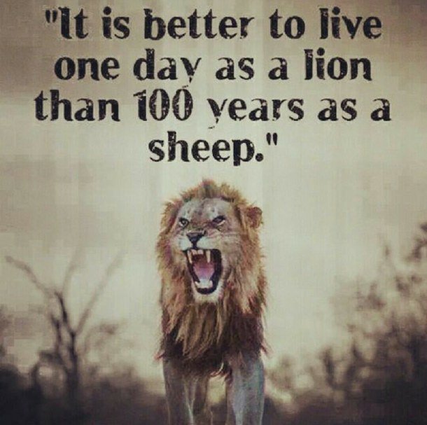Better To Live One Day As A Lion Halley Marcelline