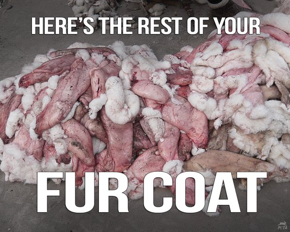 Only a savage mind can treat an animal in such a manner.
#OpNo2Fur #FurFreeFriday