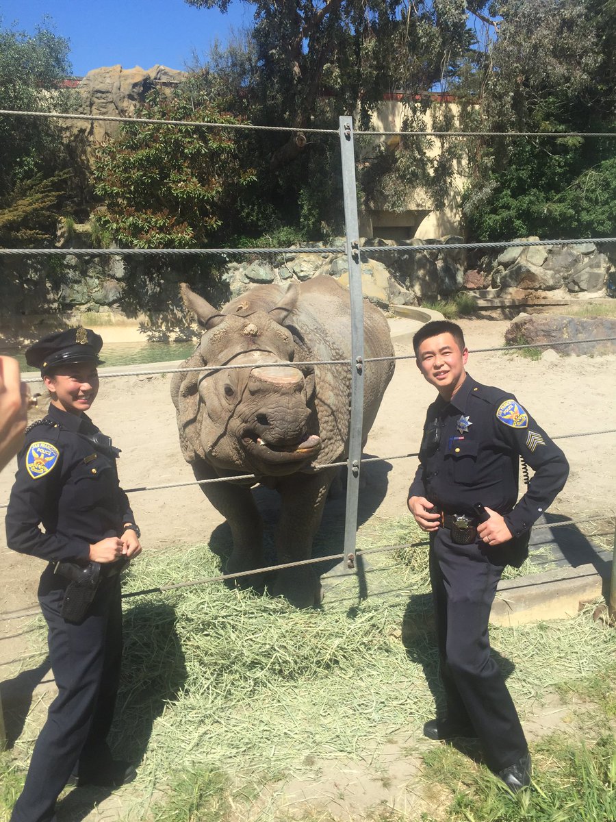 SFPDCares's tweet photo. #SFPD is a great lover of our @sfzoo. Happy #ZooLoversDay. Stay tuned for our Event #Blueatthezoo On June 4th https://t.co/88fMB9Lm2C