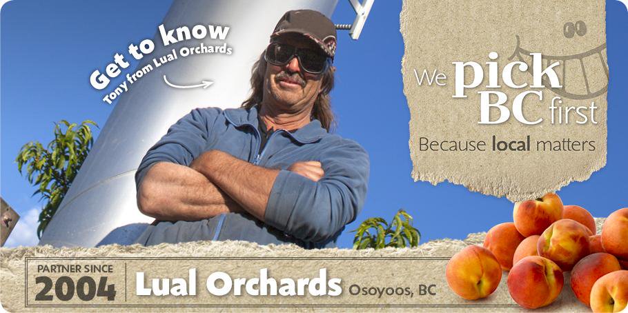 Welcome to the Red Pearl family #LualOrchards. We are excited to be building your new RP360 Cherry Grader