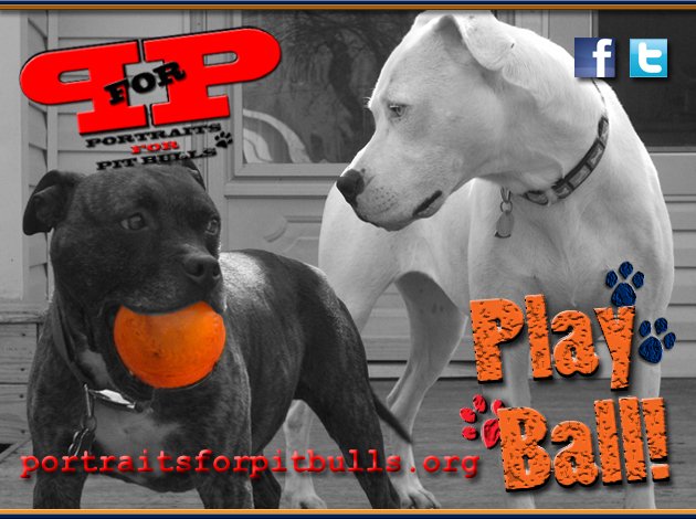 P_For_P's tweet image. Happy #OpeningDay, #Tigers! #PlayBall #OpeningDayInDetroit #Detroit #DetroitTigers portraitsforpitbulls.org