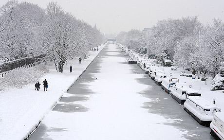 niceLAcities tweet picture
