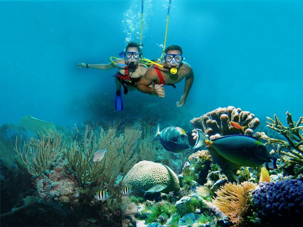 intertoursclass's tweet photo. El Parque Xcaret es sin lugar a dudas, uno de los lugares turísticos más visitados de toda la Riviera Maya https://t.co/GCw1NOEvTt