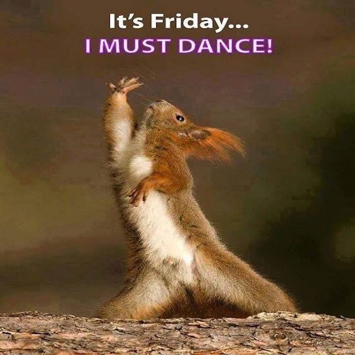 killing_kittens's tweet photo. I must I really must #dancingkittens https://t.co/0QlN9E6P5Y