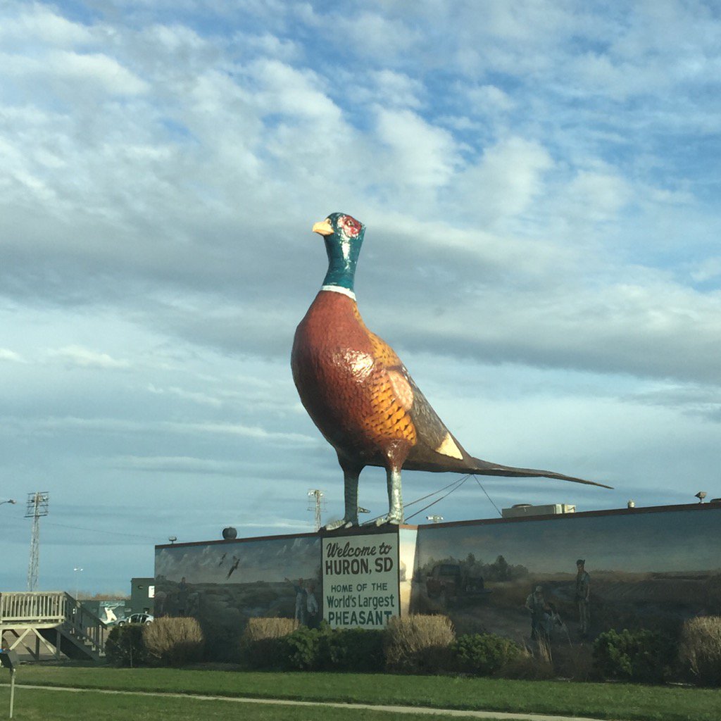 chefmjadams's tweet photo. Travelin across #SD #SavorDakota #ChefMJ https://t.co/Yf2MeRPLVD