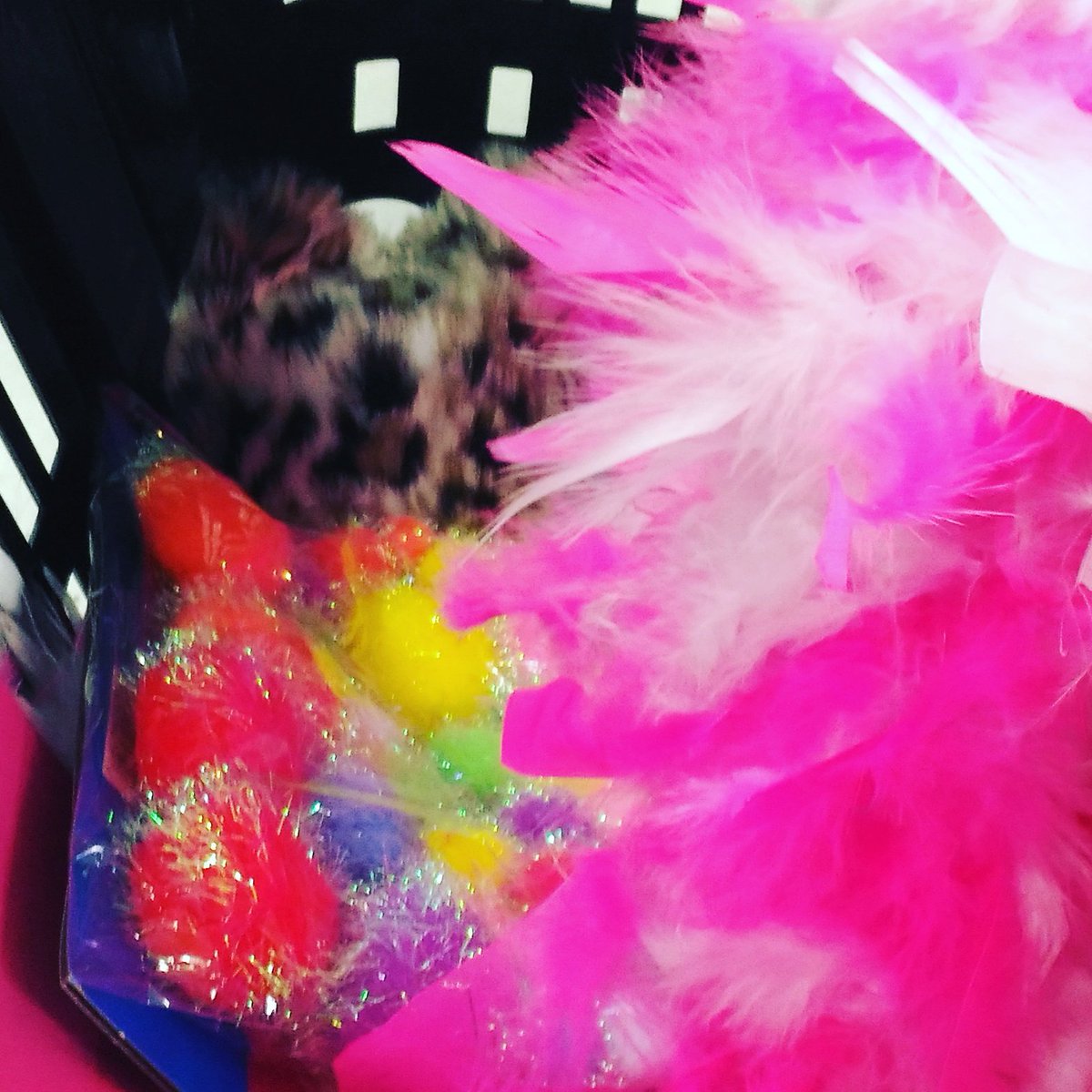 HousewvsFantasy's tweet photo. A little preview of our losers prizes #RHONY #rhonyleague #artsandcrafts https://t.co/yNch7CKWWo