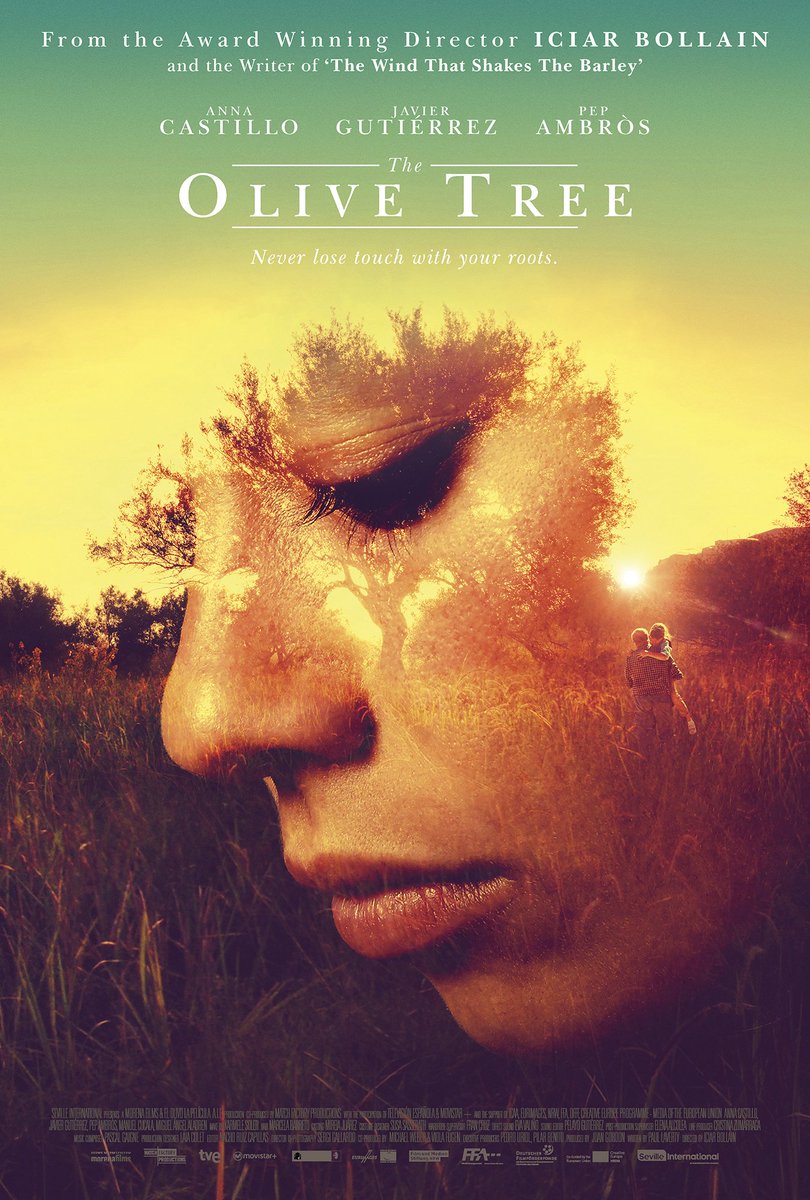 Never lose touch with your roots! Our poster for The Olive Tree.