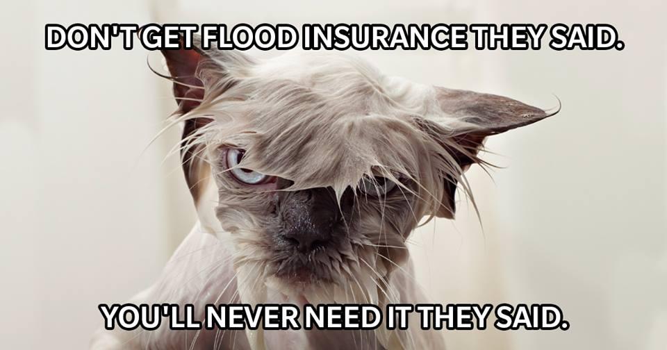 InsuranceQueeen's tweet photo. There's a storm brewing in San Diego County. Make sure you have flood and home insurance! #HomeInsurance #Farmers https://t.co/aNo6ayX03d